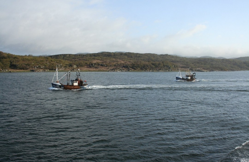 Fishing boats